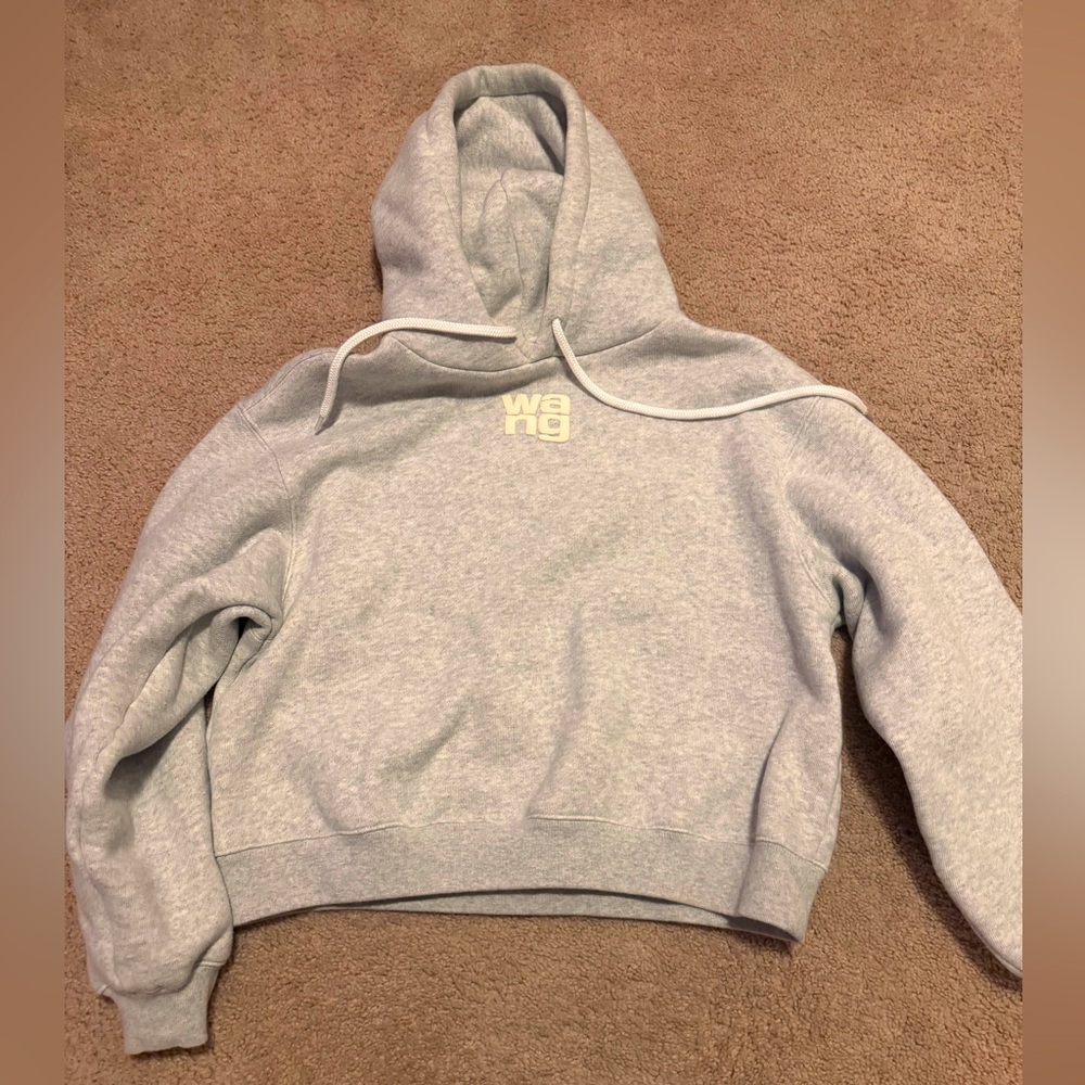 Alexander Wang Gray Hoodie Sweater